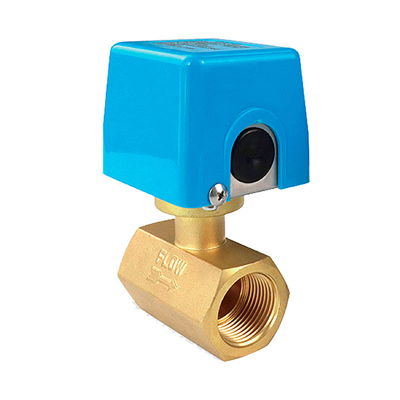 Hebei Source Goods Technology Co., Ltd